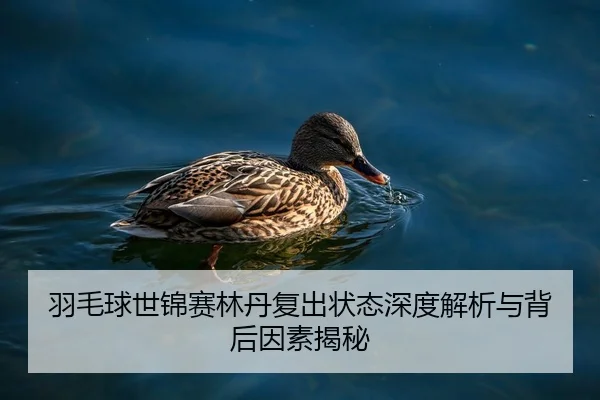 羽毛球世锦赛林丹复出状态深度解析与背后因素揭秘
